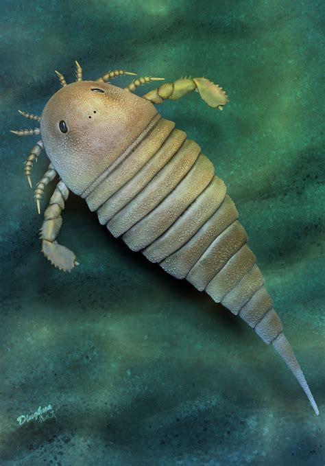 Earliest Sea Scorpion from China | Sci.News