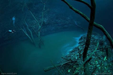 Diver Discovers Incredible Underwater River In Mexico