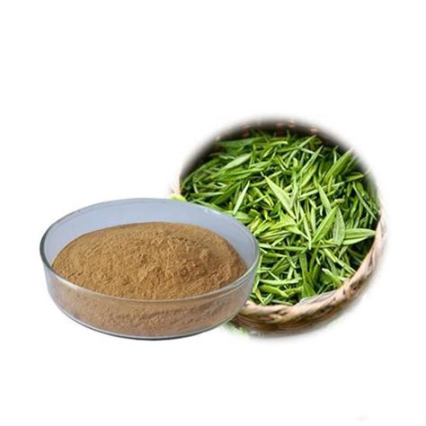 Organic Green Tea Extract Powder Suppliers & Manufacturers & Factory ...