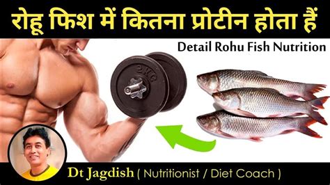 rohu fish protein per 100g | rohu fish me kitna protein hota hai | rohu fish nutrition | - YouTube