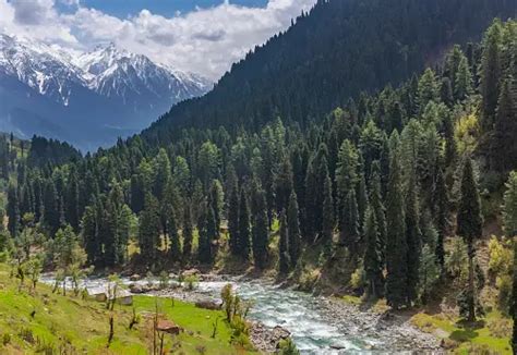 Kashmir Valley Pictures | Download Free Images on Unsplash