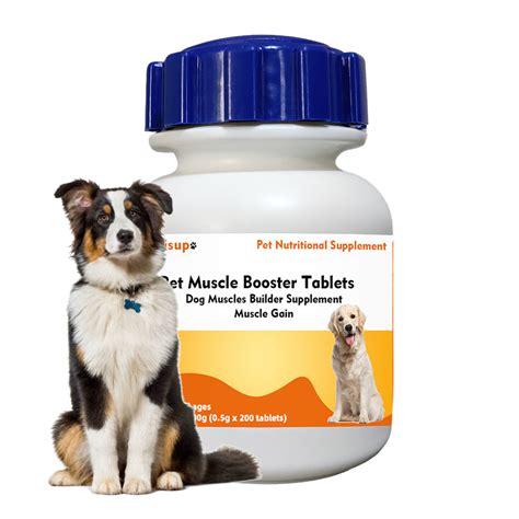 Dog Supplements Strengthens Muscle Tablets Muscle Growth Maintenance Supplements - China Pet ...