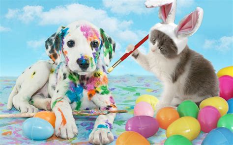 How to keep your pet safe this Easter - Pets