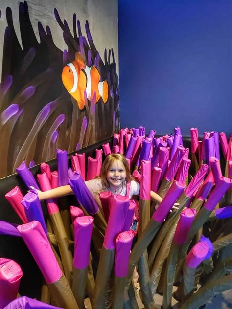 Tennessee State Aquarium | Nashville Fun For Families