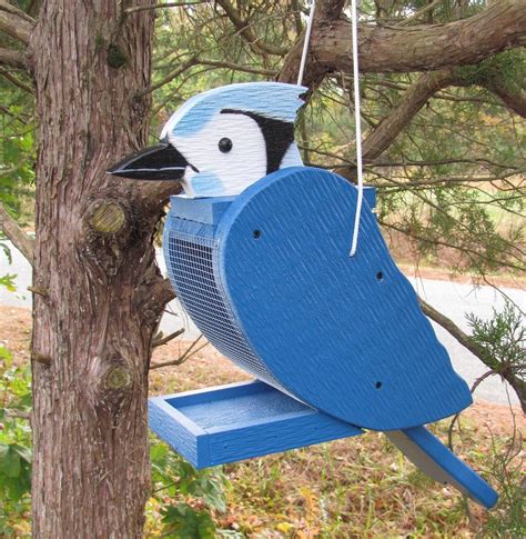 The Best Blue Jay Bird Feeders for Peanuts - Birds and Blooms