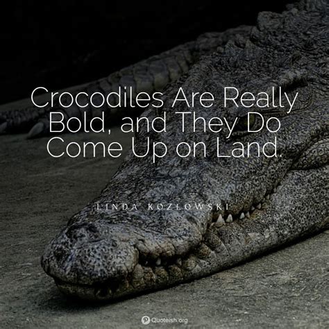 20 Crocodile Quotes - QUOTEISH Tears Quotes, Quotes By Emotions, Life Quotes, Linda Kozlowski ...