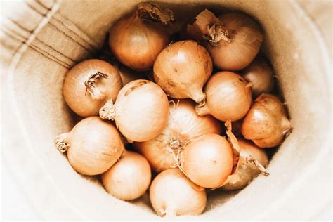 Top view of many onions in a carrier bag - Creative Commons Bilder