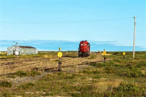 A Complete Guide To Churchill Manitoba: Polar Bears, Belugas, and More! - Adventure Family ...