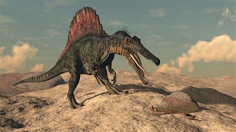 Spinosaurus Facts: Extinct Animals of the World - WorldAtlas