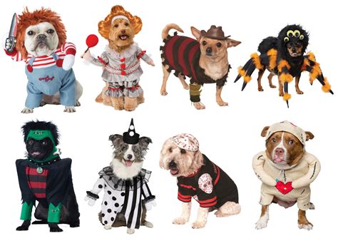 Picture Perfect Dog Costumes to Treat Your Furry Friends [Costume Guide ...