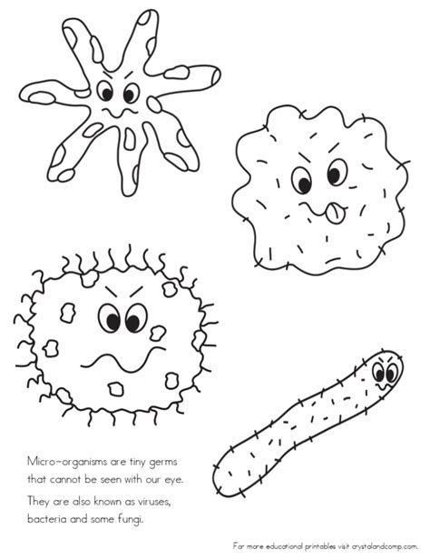 Germs Worksheets Printables - Printable Worksheets