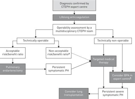 Treatment algorithm for managing chronic thromboembolic pulmonary... | Download Scientific Diagram