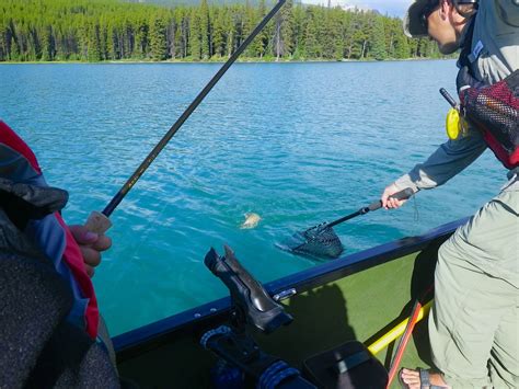 JOSH GOES FISHING: Fishing in Maligne Lake at Jasper National Park, Canada