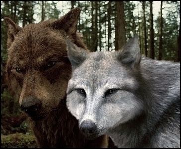 Jacob & Leah -Wolf- - Jacob Black & Leah Clearwater Photo (22367860) - Fanpop