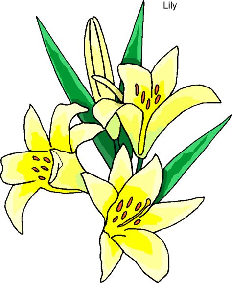 Easter Lily Clipart - Cliparts.co