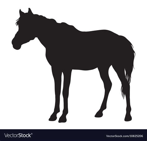 Horse standing silhouette Royalty Free Vector Image