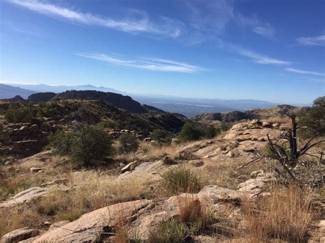 Bug Springs Trail - 37 Photos - Hiking - Mount Lemmon, AZ - Yelp