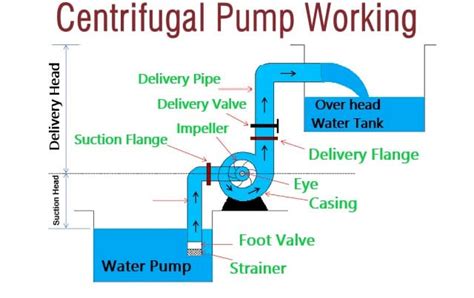 Working Of Centrifugal Pump