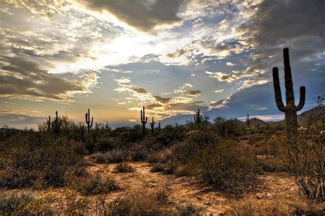 A Sonoran Desert Sunset Photograph by Saija Lehtonen