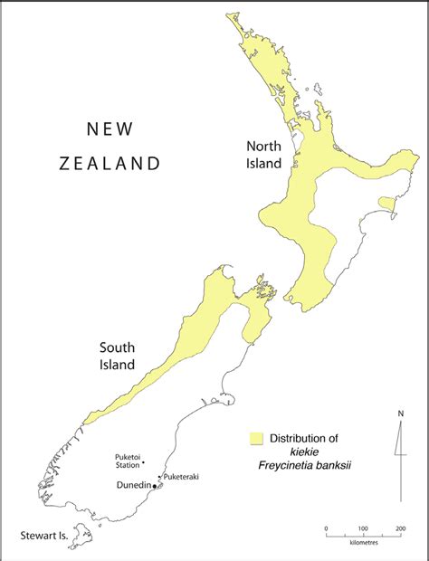 Map of New Zealand, showing distribution of kiekie (Freycinetia banksii ...