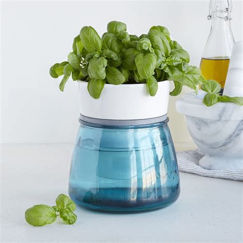 Self-Watering Kitchen Herb Pot | Indoor Herb Planter, Herb Container ...