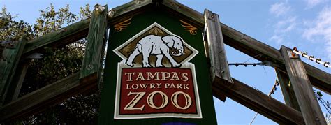 Lowry Park Zoo - Things to do in Tampa