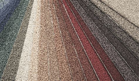 6 Best Carpet Brands to Consider (and What Makes Them Unique)