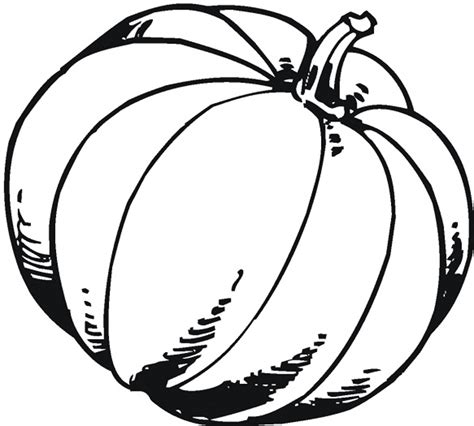 Pumpkin Patch Coloring Page | Free download on ClipArtMag