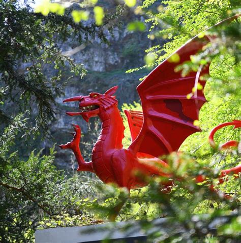 The legend of the Red welsh Dragon | ministère du mystère