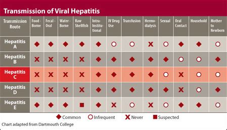 Common transmission routes of viral hepatitis