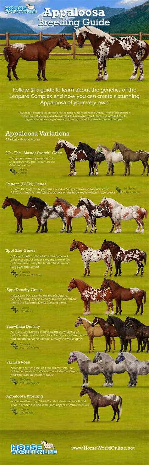 View topic - Horse World Online | Horse Breeding Genetics Game - Chicken Smoothie