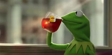 History & Meaning Of The Kermit Sipping Tea Meme | Tea meme, Sipping tea meme, Kermit