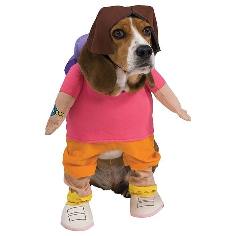 Dora the Explorer Dog Costume | Dog costumes funny, Pet halloween ...