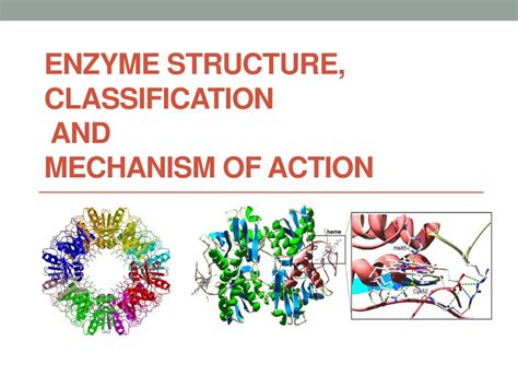 Enzyme Structure, classification and mechanism of action - ppt download