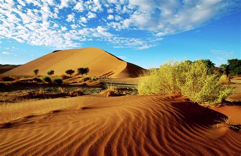 Sand Dunes In Namib Desert Park by Ariadne Van Zandbergen