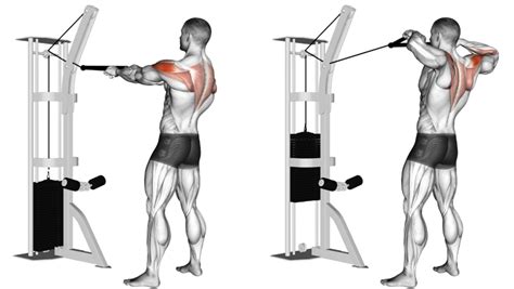 Build Your Delts, Sculpt Your Back, Prevent Shoulder Injury, And Improve Your Posture With Rope ...