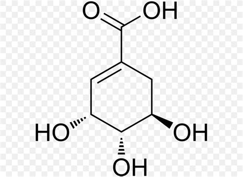 Shikimic Acid Shikimate Pathway Chemical Compound Chemistry, PNG, 598x599px, 2chlorobenzoic Acid ...