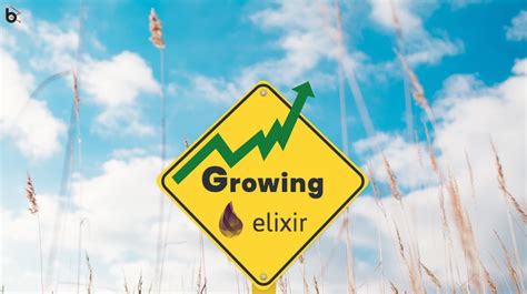 Elixir: Functional programming continues to rise in 2020