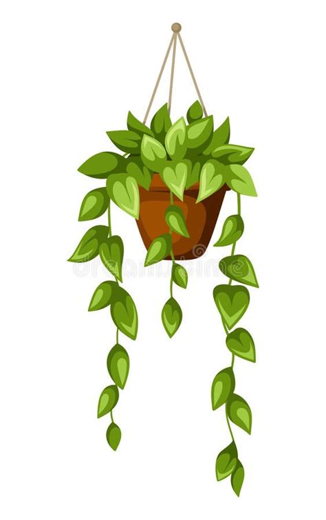 Photo about Vector illustration of green houseplant in a pot isolated ...