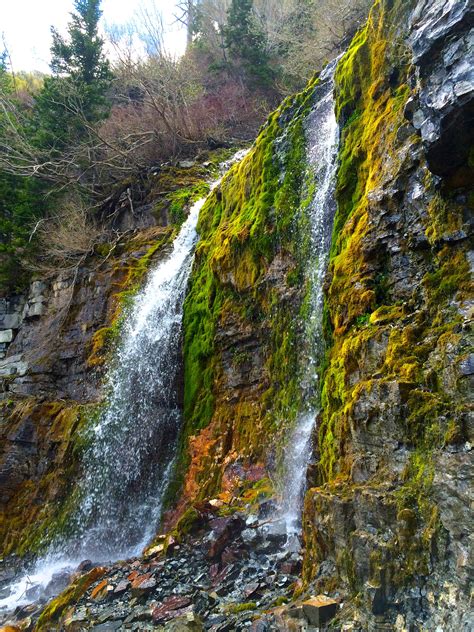 Scout Falls on the Timpooneke Trail - Wanderookie | Utah parks, Waterfall, Utah travel