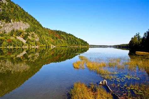 Aroostook-State-Park - Traveling Lifestyle