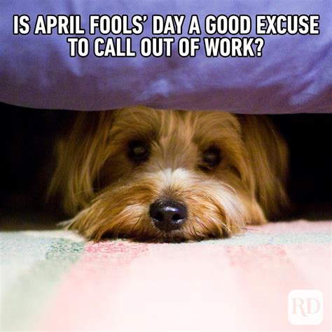 20 Best April Fools' Memes of 2021 | Reader's Digest