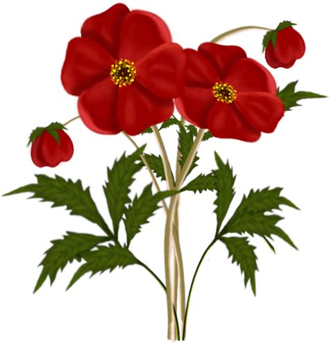 Red Flower-png - ClipArt Best