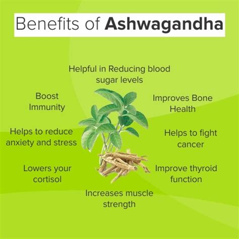 Benefits of Ashwagandha