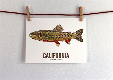 California State Fish Map art Nature Outdoor art Vintage | Etsy