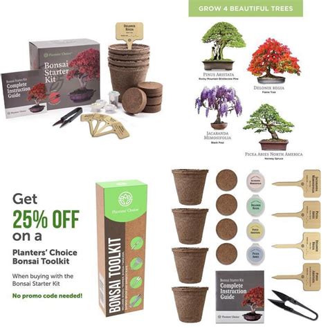 Grow It Bonsai Tree Kit Instructions