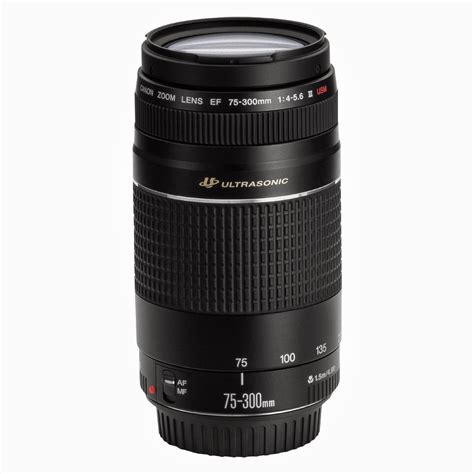 Harga Lensa Canon EF 75-300mm f/4-5.6 III USM Terbaru