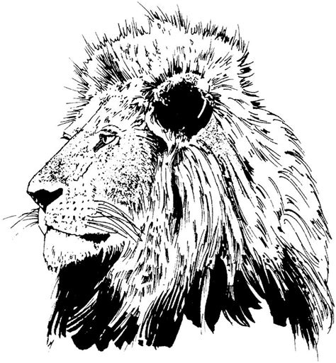 Realistic Lion Coloring Pages at GetColorings.com | Free printable colorings pages to print and ...