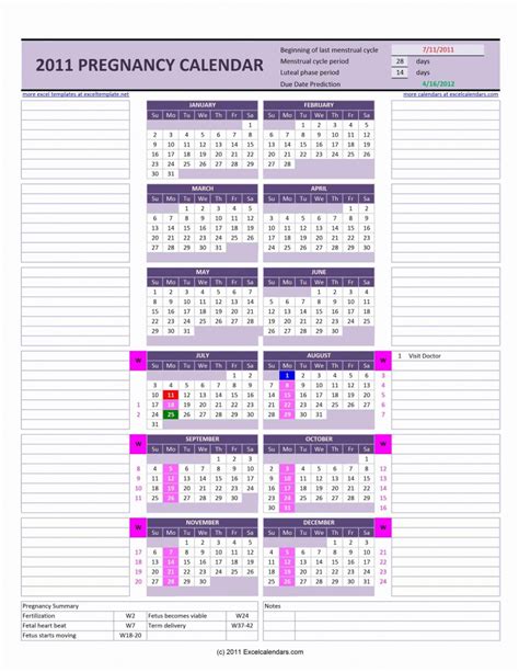 Pregnancy Calendar | Excel Templates