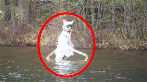 Cryptids That Are Real